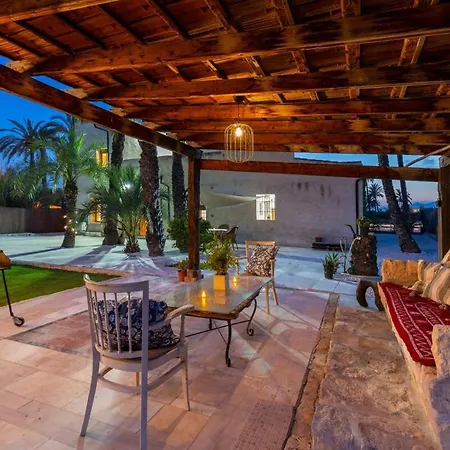 Historical Palms By Fidalsa * Elche