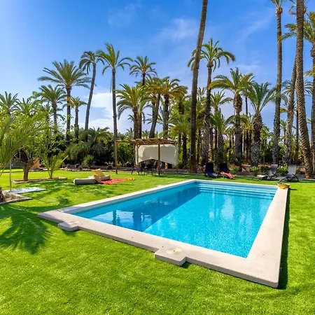 Villa Historical Palms By Fidalsa Elche