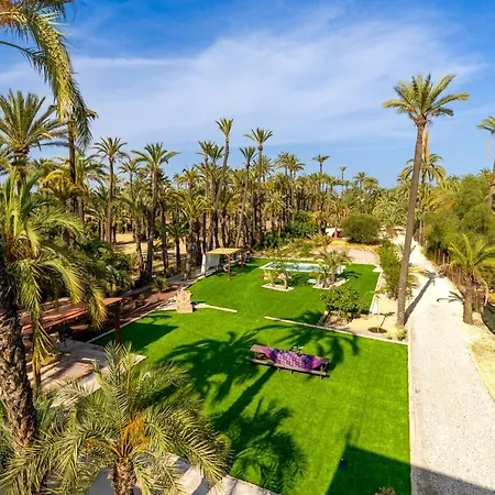 Historical Palms By Fidalsa Villa Elche