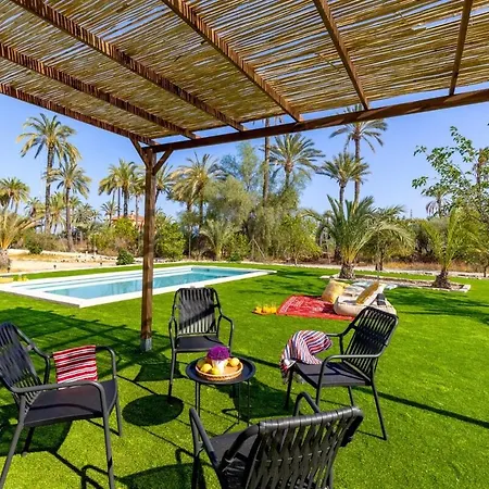 Historical Palms By Fidalsa * Elche