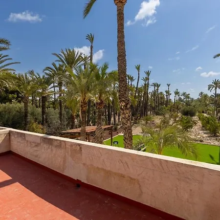 Historical Palms By Fidalsa Elche