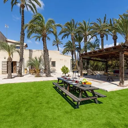 Historical Palms By Fidalsa Elche