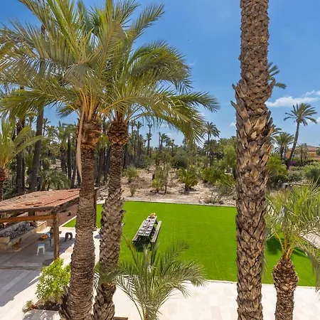 Historical Palms By Fidalsa Villa Elche