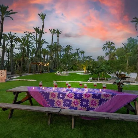 Historical Palms By Fidalsa Villa