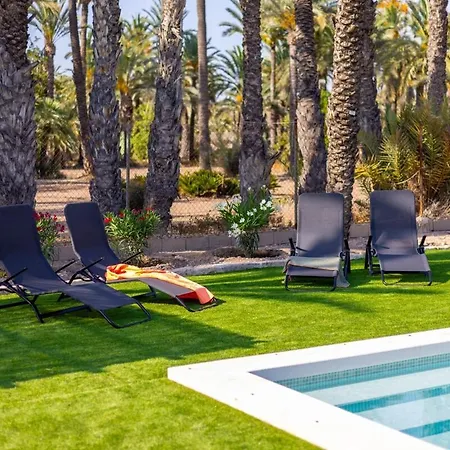 Historical Palms By Fidalsa Villa