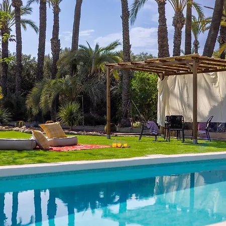 Historical Palms By Fidalsa * Elche
