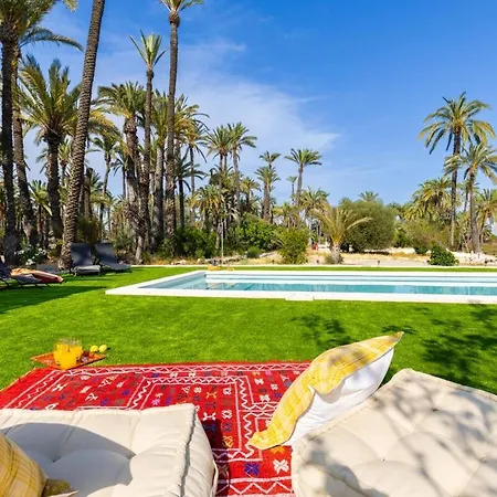 Historical Palms By Fidalsa Villa Elche
