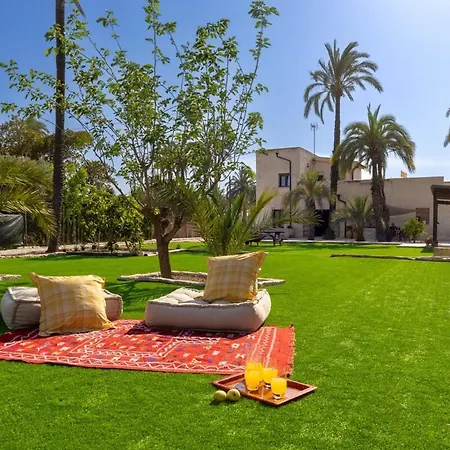 Historical Palms By Fidalsa * Elche