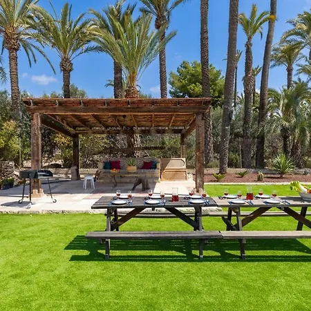 Historical Palms By Fidalsa Elche