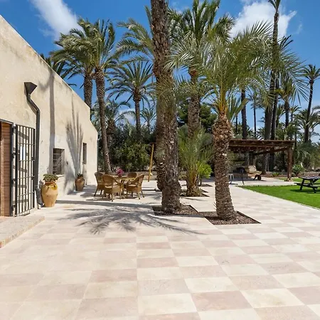 Historical Palms By Fidalsa *