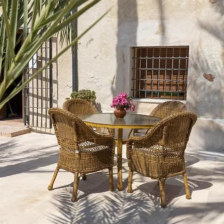 Historical Palms By Fidalsa * Elche